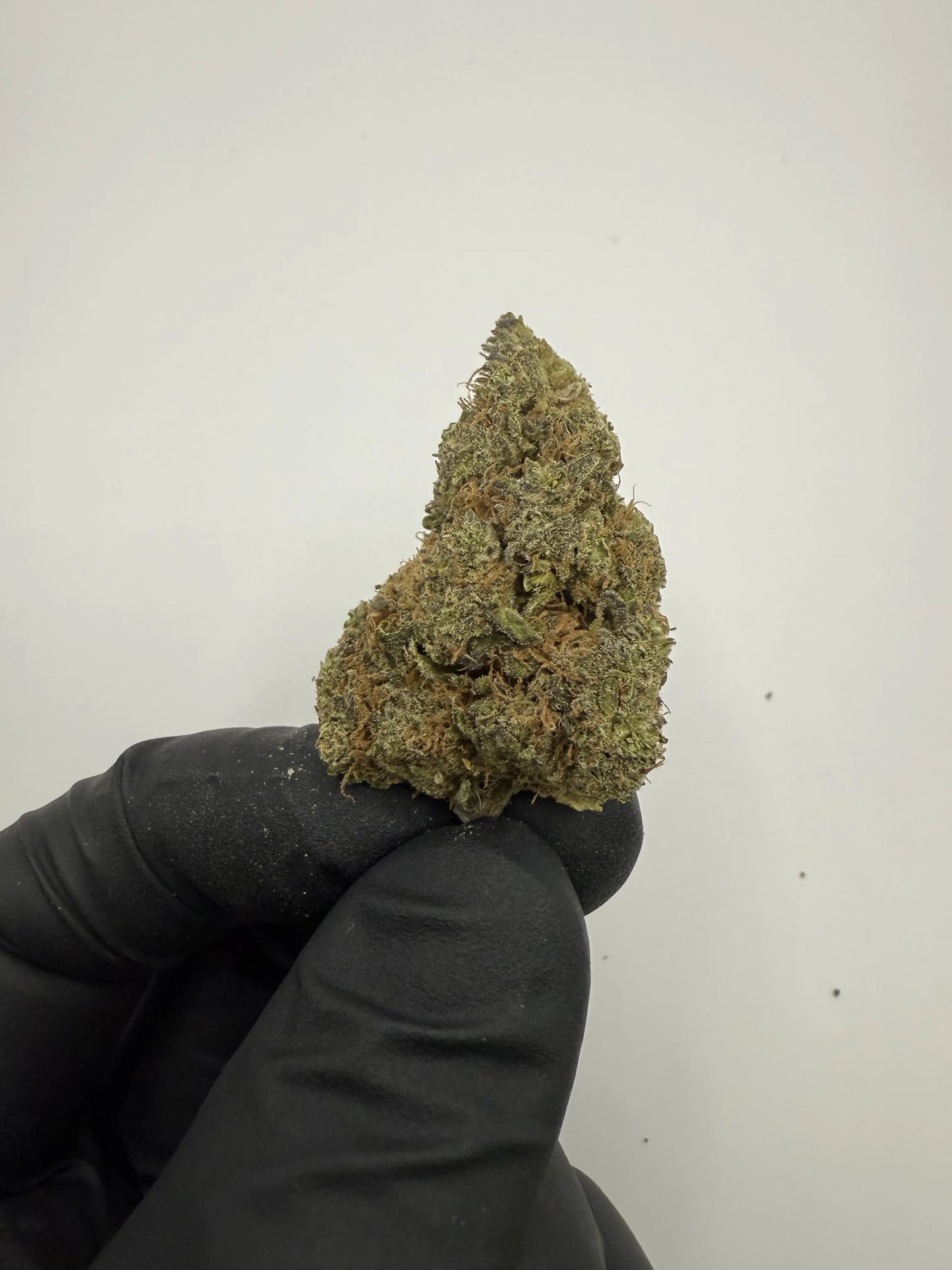 Fleur CBD Blue Cheese 16 % 🧀 – Fruité & relaxant