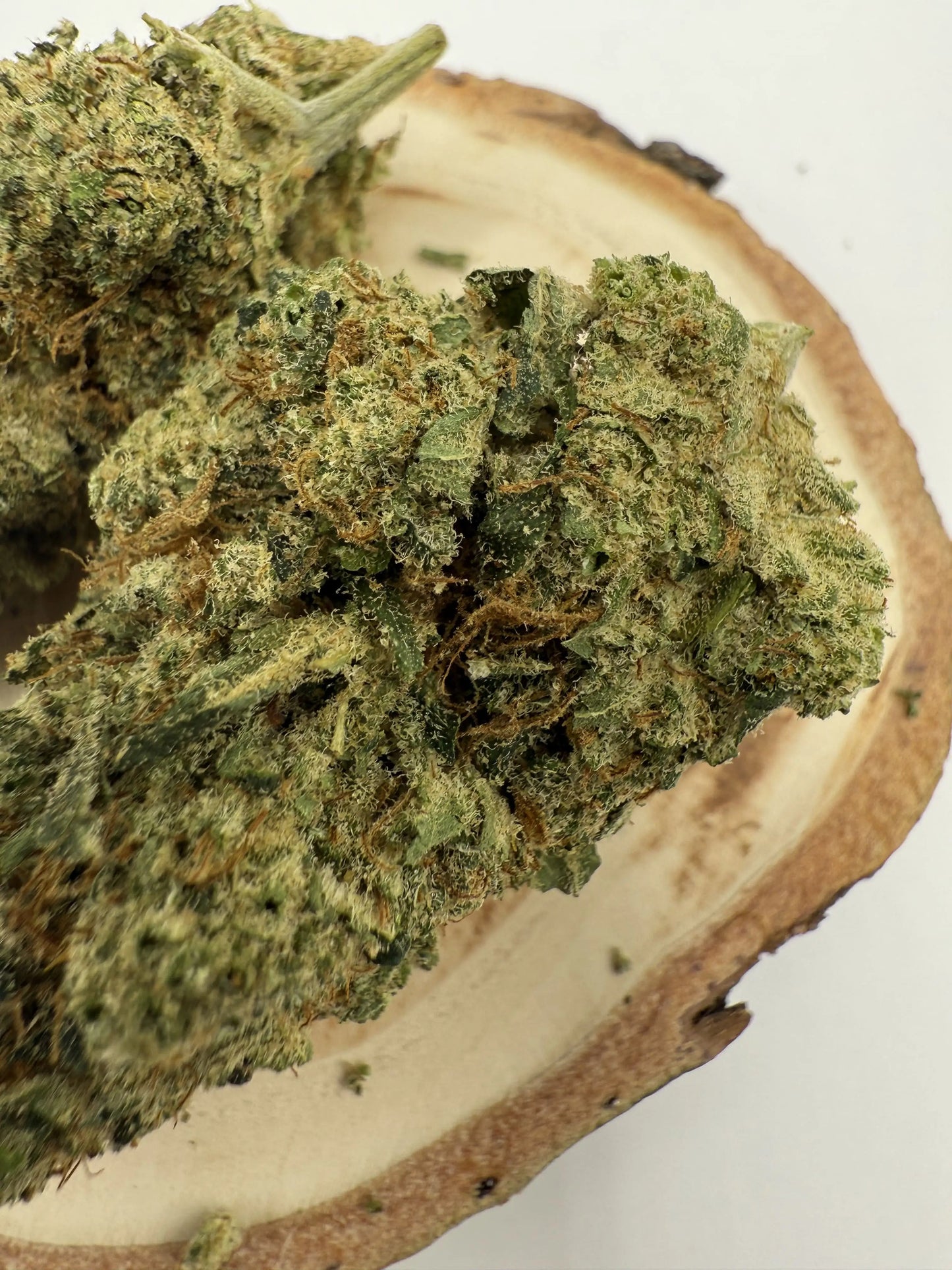 Blue Dream CBD indoor – texture dense, culture hydroponique premium