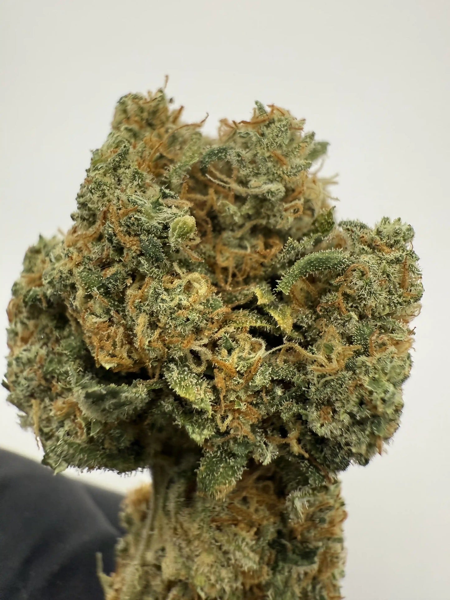 Fleur CBD Lemon Kush 16 % 🍋 – Citron & détente