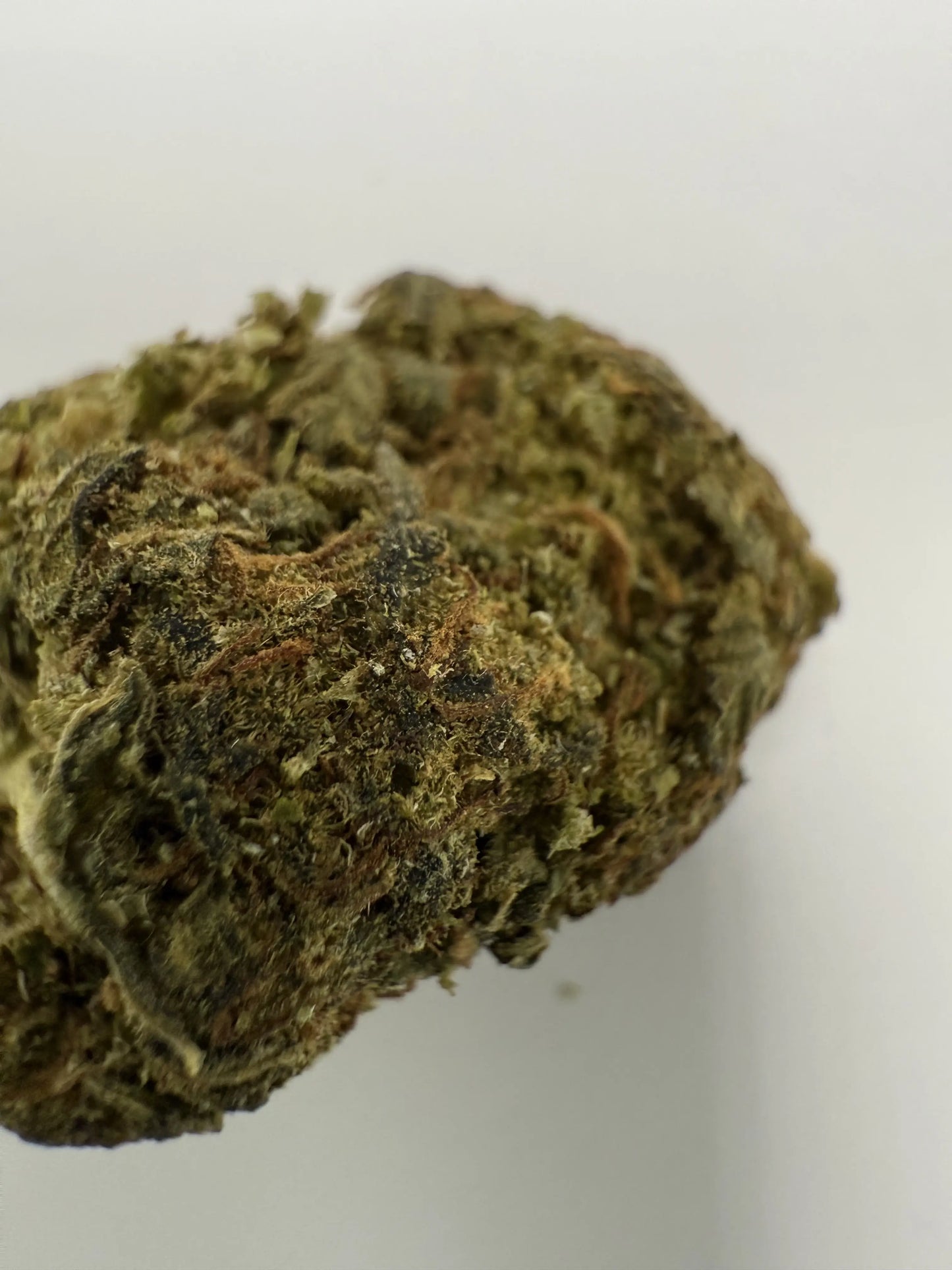 northern light trichome