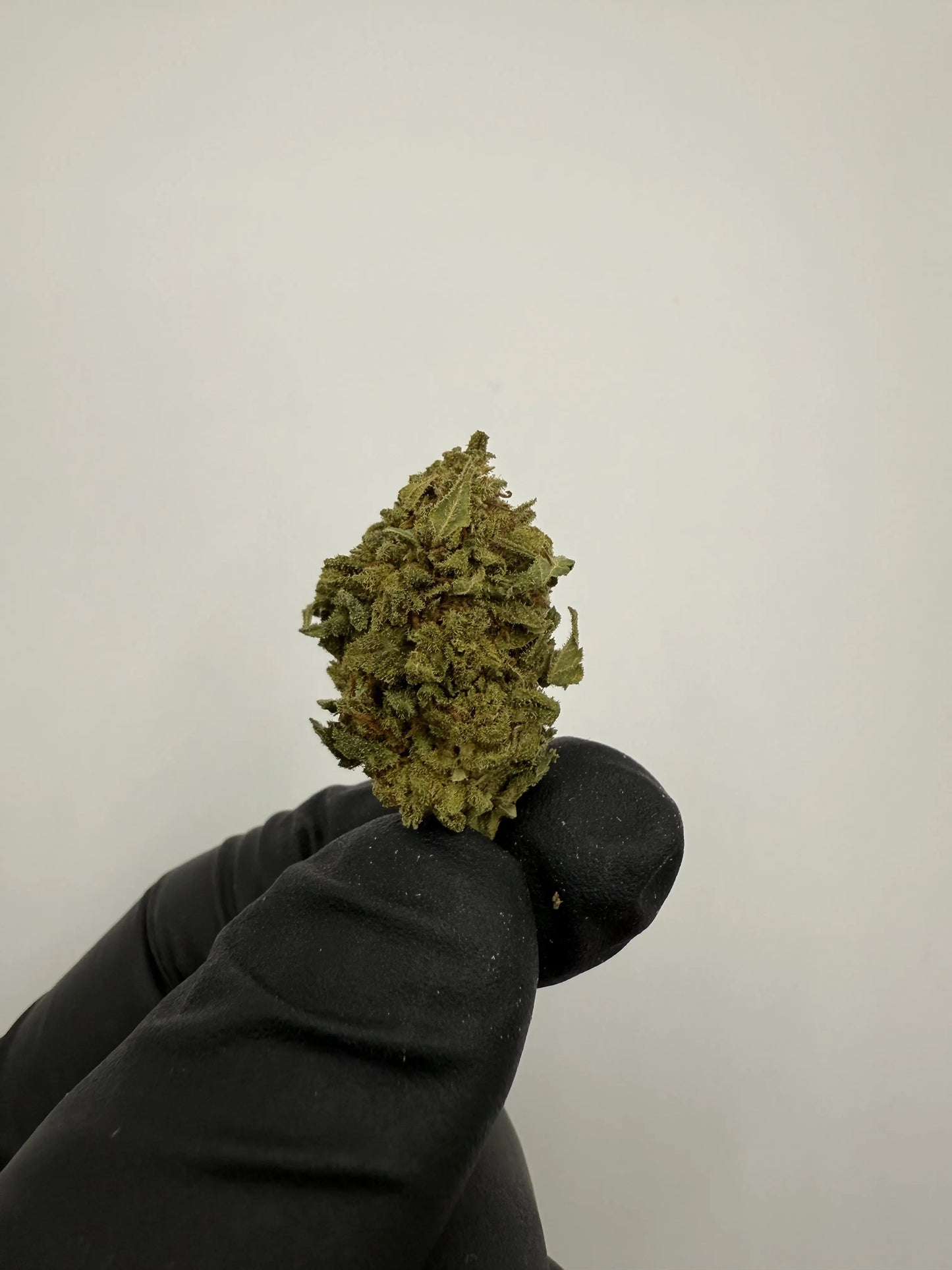 Fleur CBD OG Kush 10 %🪵 – Puissante & boisée