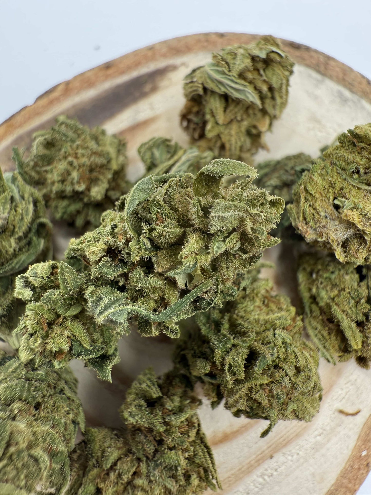 OG Kush CBD greenhouse – fleur dense à dominante Indica, notes terre & pin