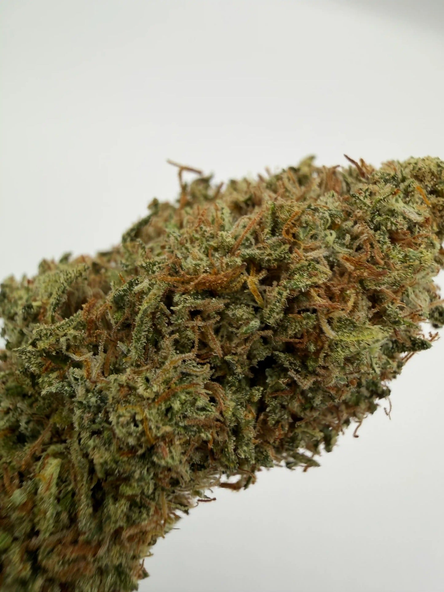 Skunk CBD – Fleur Française Light Dep Intense