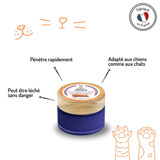 Application baume végétal sur coussinets de chien — soin naturel hydratant Zenherb