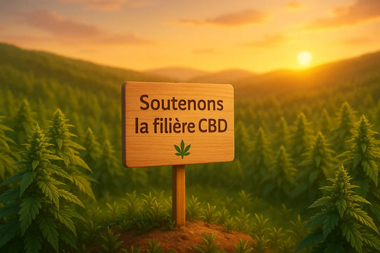 💥 PLF 2026 : la filière CBD française face à une possible taxation — « La mort pure et simple du secteur » ?