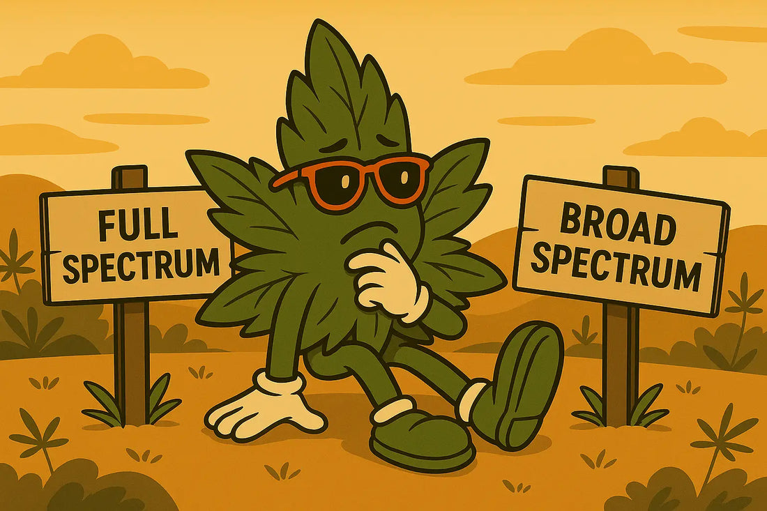 💧Quelle huile de CBD choisir ? Full spectrum ou broad spectrum ?