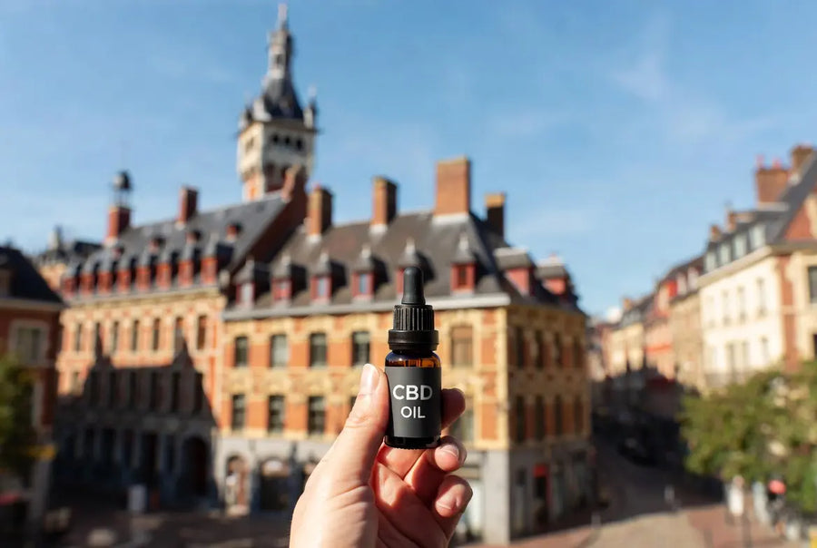 Acheter du CBD à Lille : boutique ou en ligne ? Guide 2026 - Zenherb