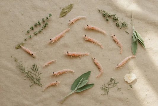 krill pour chiens et chats 