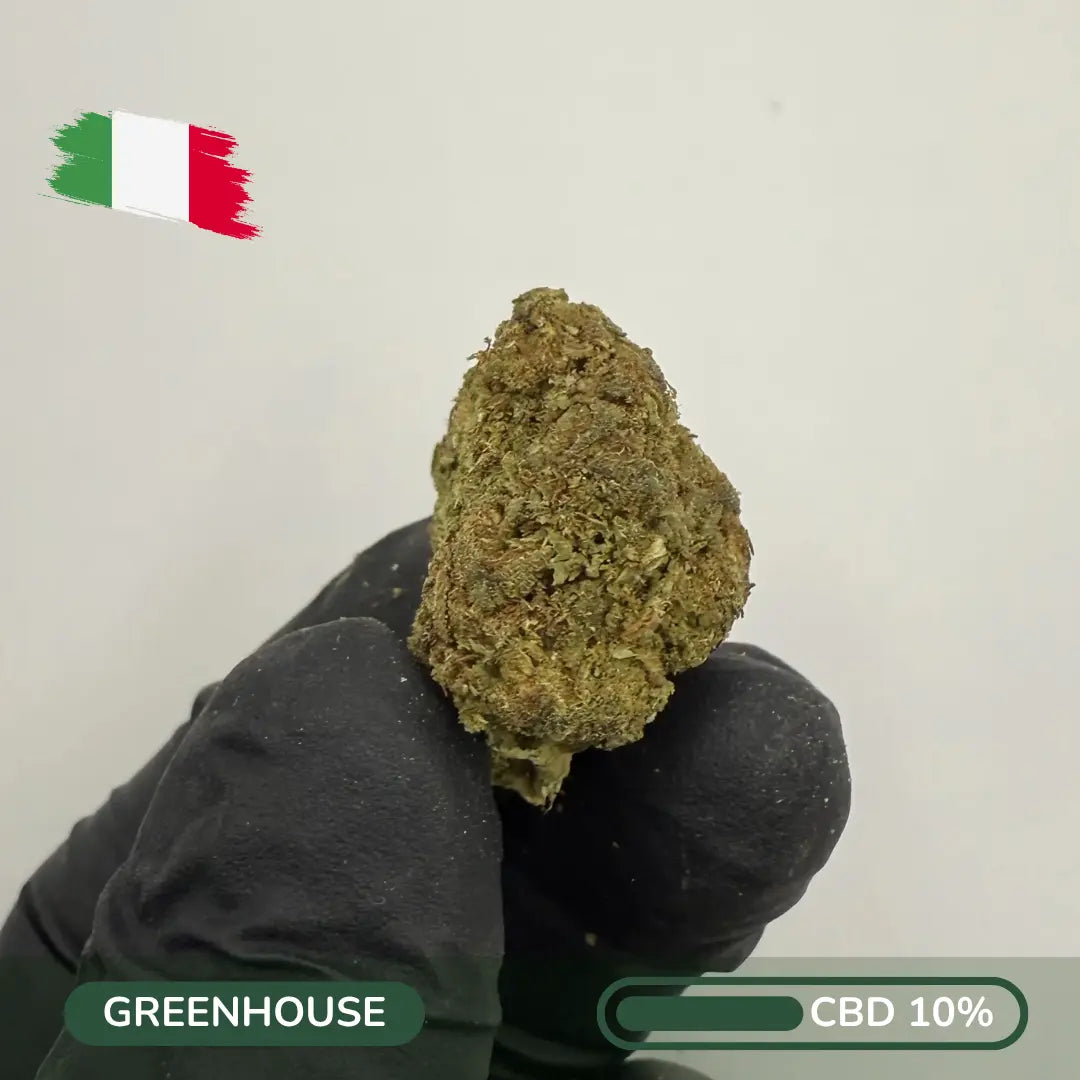 Aurora Zen CBD – Pine Frost