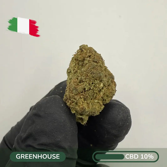 Aurora Zen CBD – Pine Frost