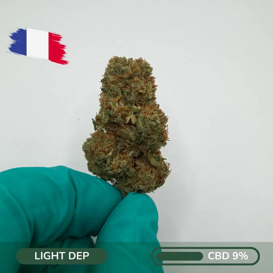 OG Z CBD – Creamy Gas Select