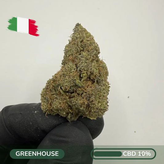 OG Zen CBD – Heritage Kush