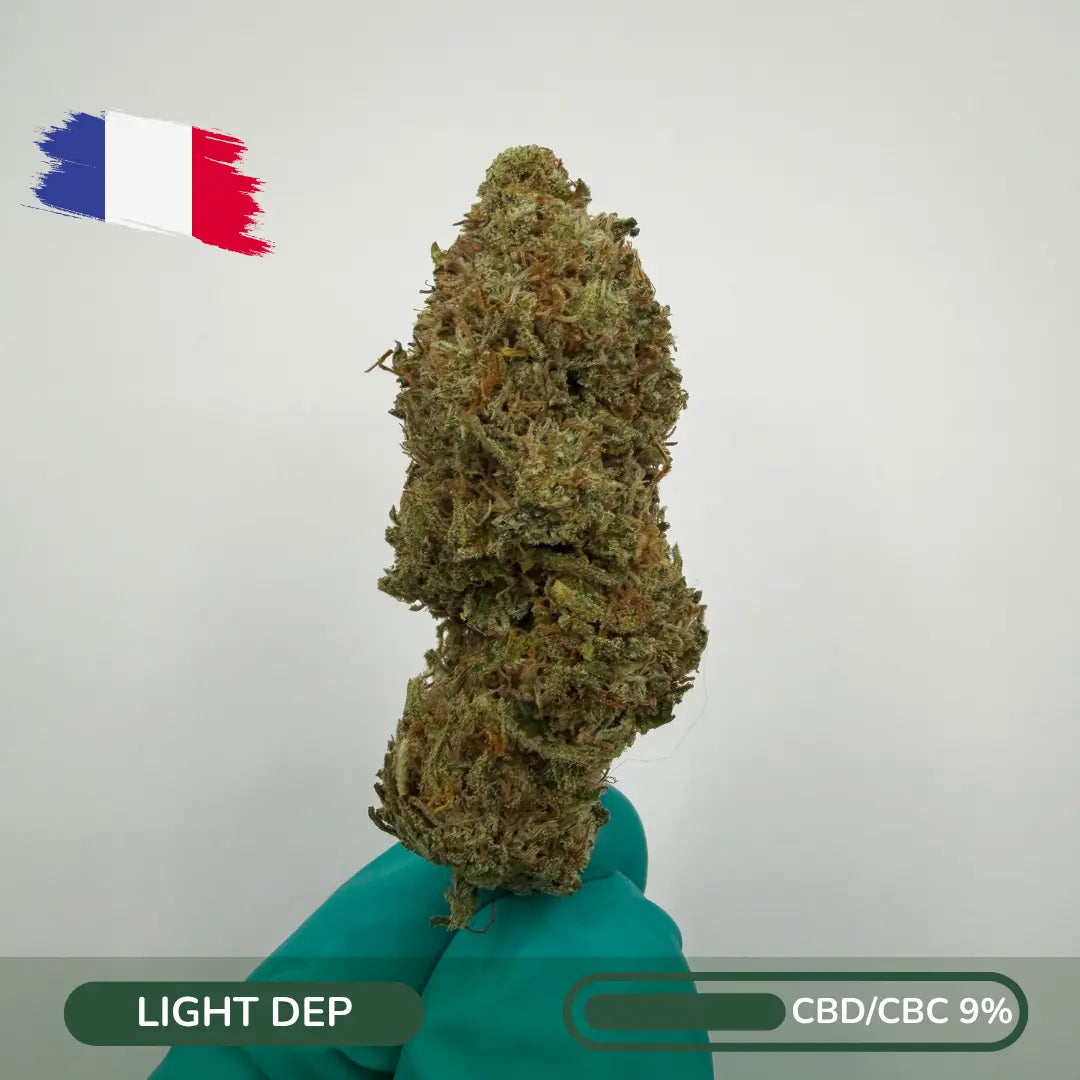 Fleur CBD Skunk Jam intense best-seller relaxant - Zenherb