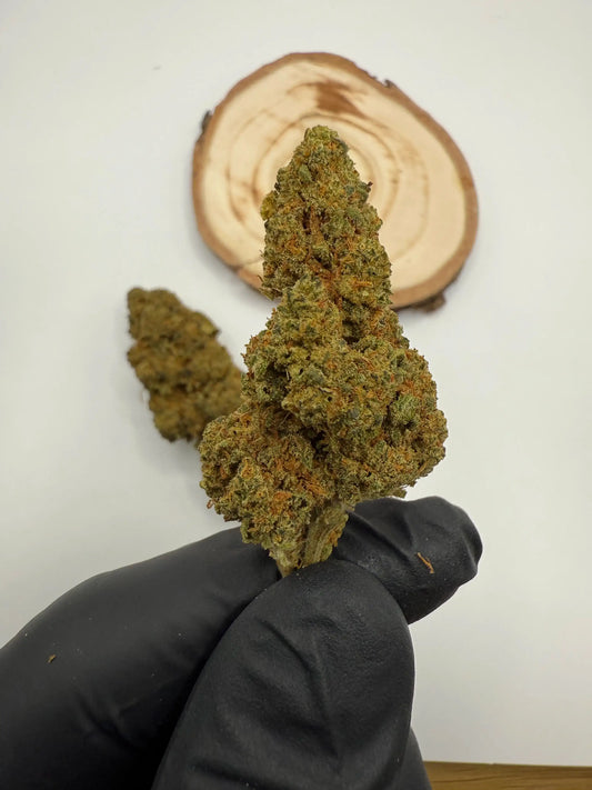 Fleur CBD Amber Funk 15% 💎 – Une fleur dense & gourmande