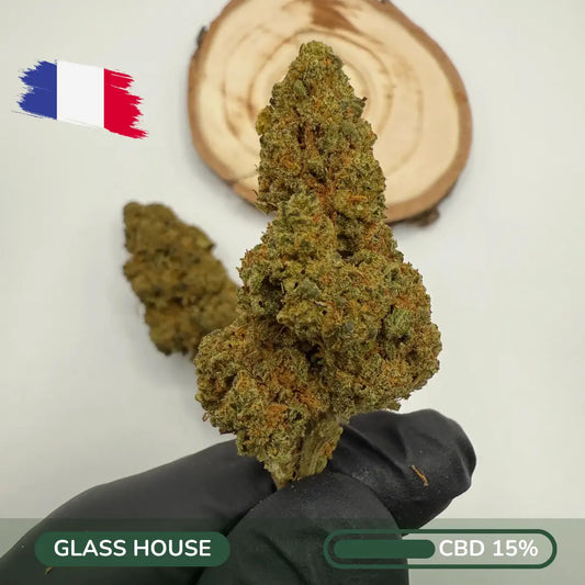 Amber Funk CBD – Sweet Resin Batch