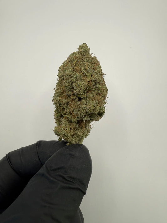 Fleur CBD Black Gas 16 % ⛽ – Puissante & relaxante