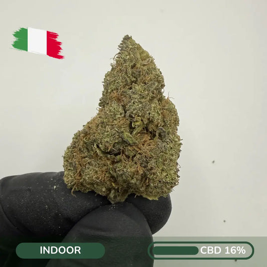 Blue Velvet CBD – Creamy Berry