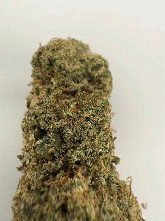 Fleur CBD Blue Dream 13 % 🍋 – Citronnée & rafraîchissante