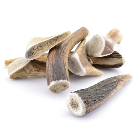 Bois de cerf entier pour chien - Zenherb Pet