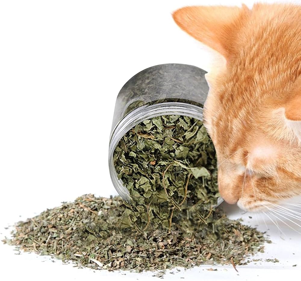 Cataire pour chat française premium 30g — Nepeta cataria séchée sans pesticides Zenherb