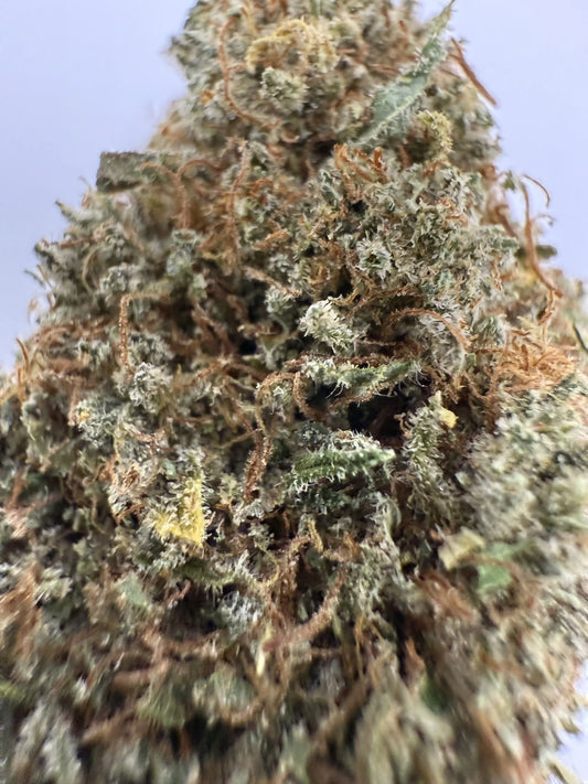 Fleur CBD Critical+ 2.0 11 % 🍭 – Douce & sucrée