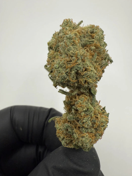 Fleur CBD Lemon Kush 16 % 🍋 – Citron & détente
