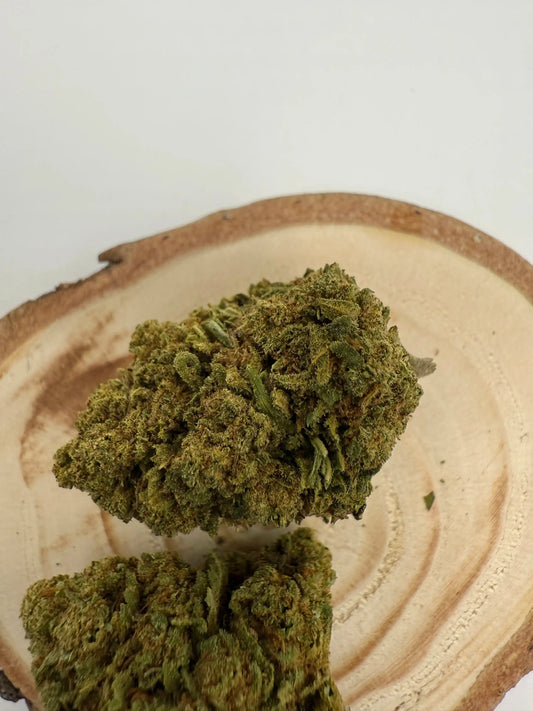 Fleur CBD Mango Zenrise CBD 15% 🥭 - Une fleur fruitée & solaire