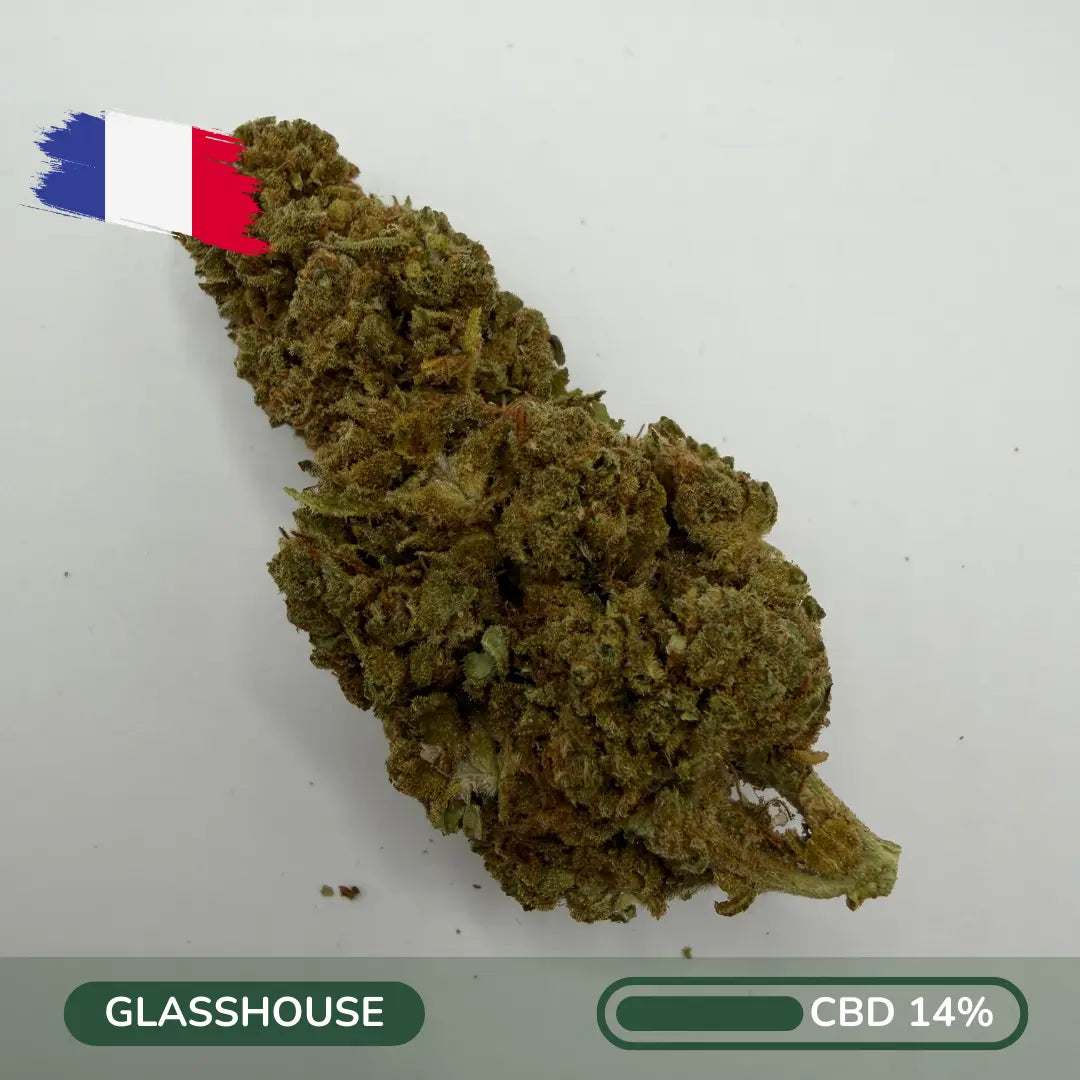 Fleur CBD OG Heritage 2025 greenhouse française - Zenherb