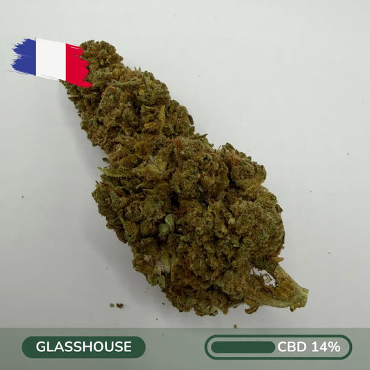 Fleur CBD OG Heritage 2025 greenhouse française - Zenherb