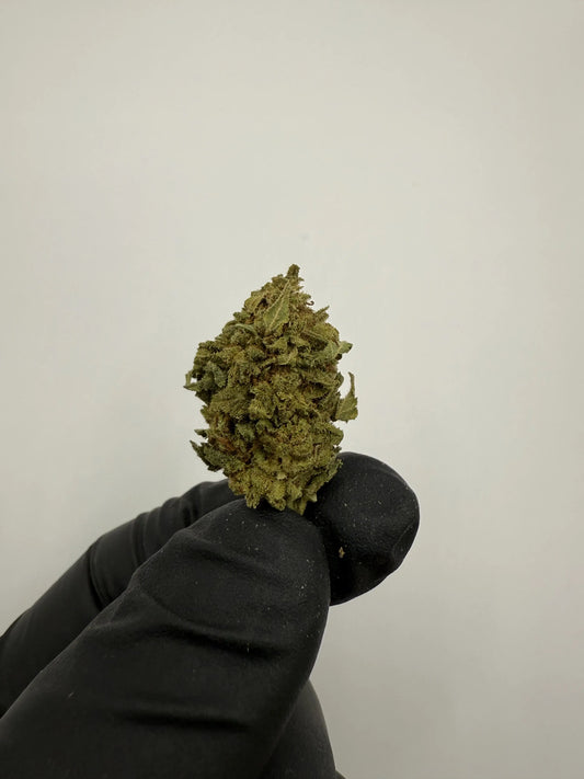 Fleur CBD OG Kush 10 %🪵  – Puissante & boisée