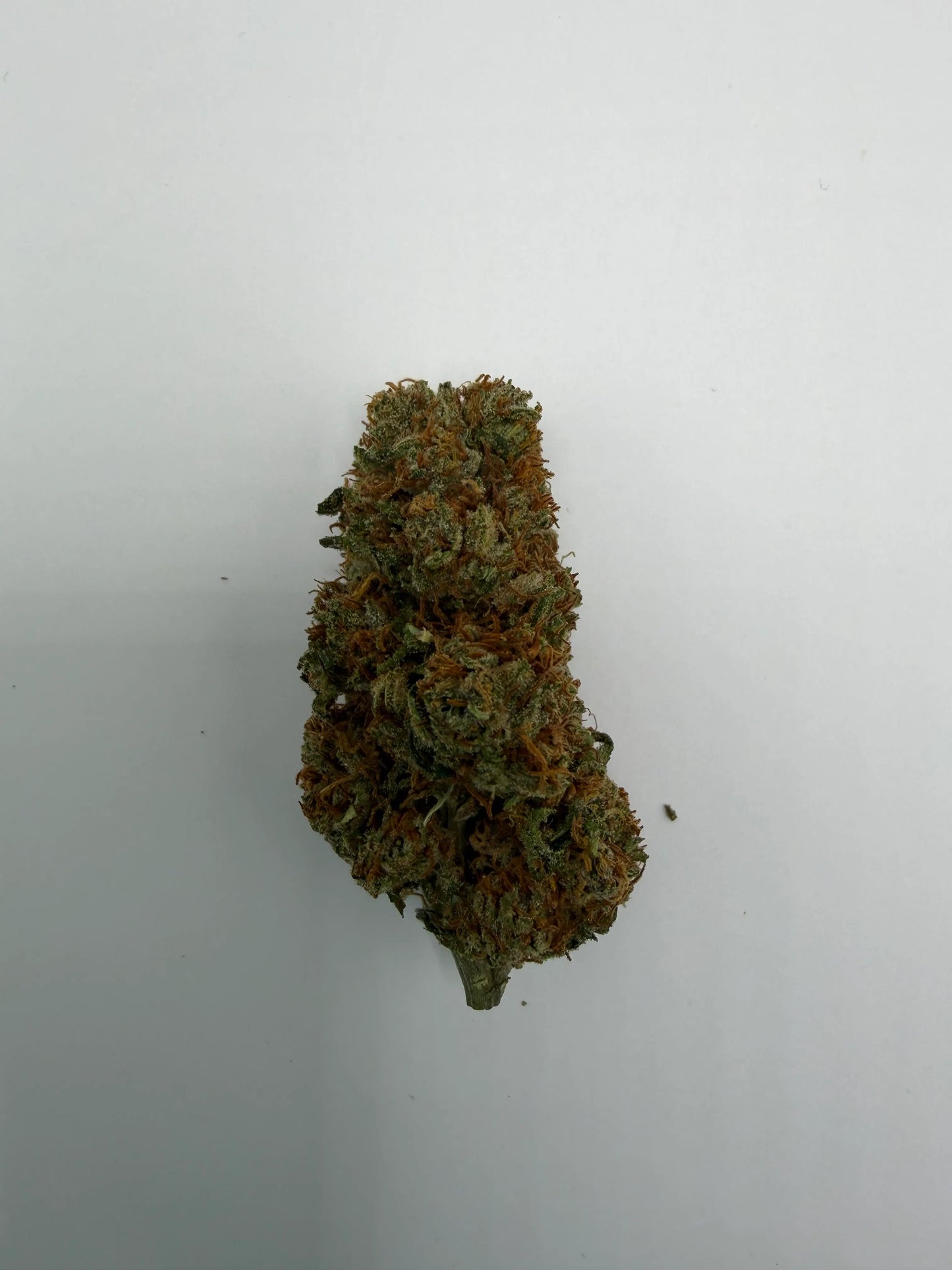 OG Z CBD – Fleur Crémeuse & Gazée Hydroponique