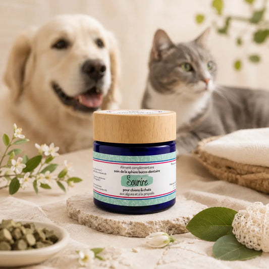 Truffe & Moustache Sourire — Anti-tartre & bonne haleine chien/chat