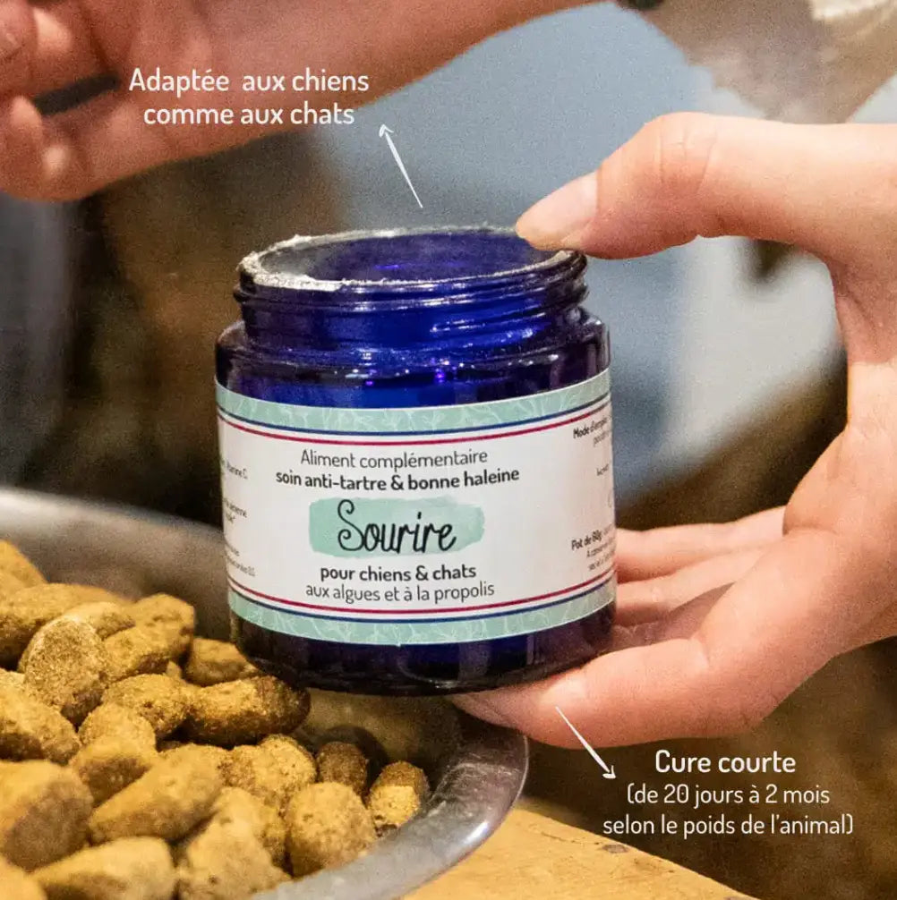 Truffe & Moustache Sourire — Anti-tartre & bonne haleine chien/chat