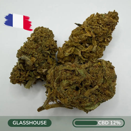 Fleur CBD Strawberry Haze 2025 saveur fraise greenhouse française - Zenherb