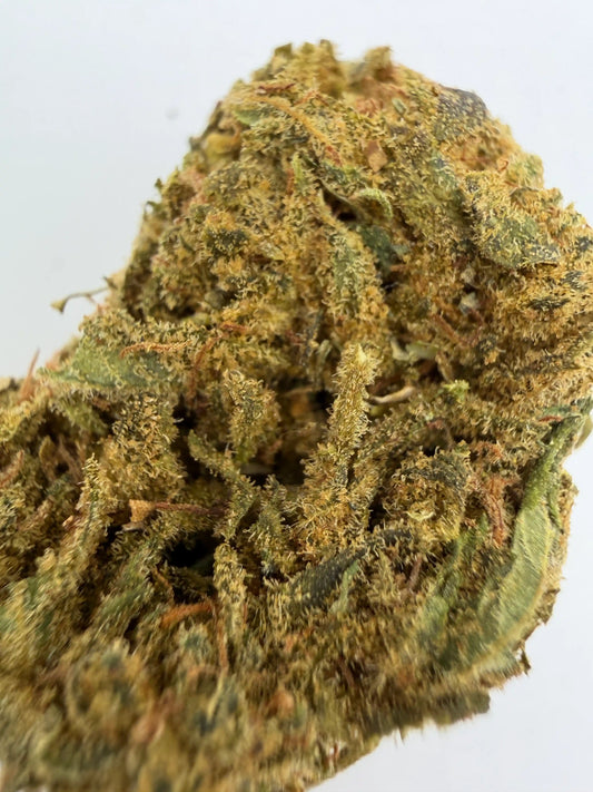 Fleur CBD Strawberry zoom  Haze 2025 saveur fraise greenhouse française - Zenherb