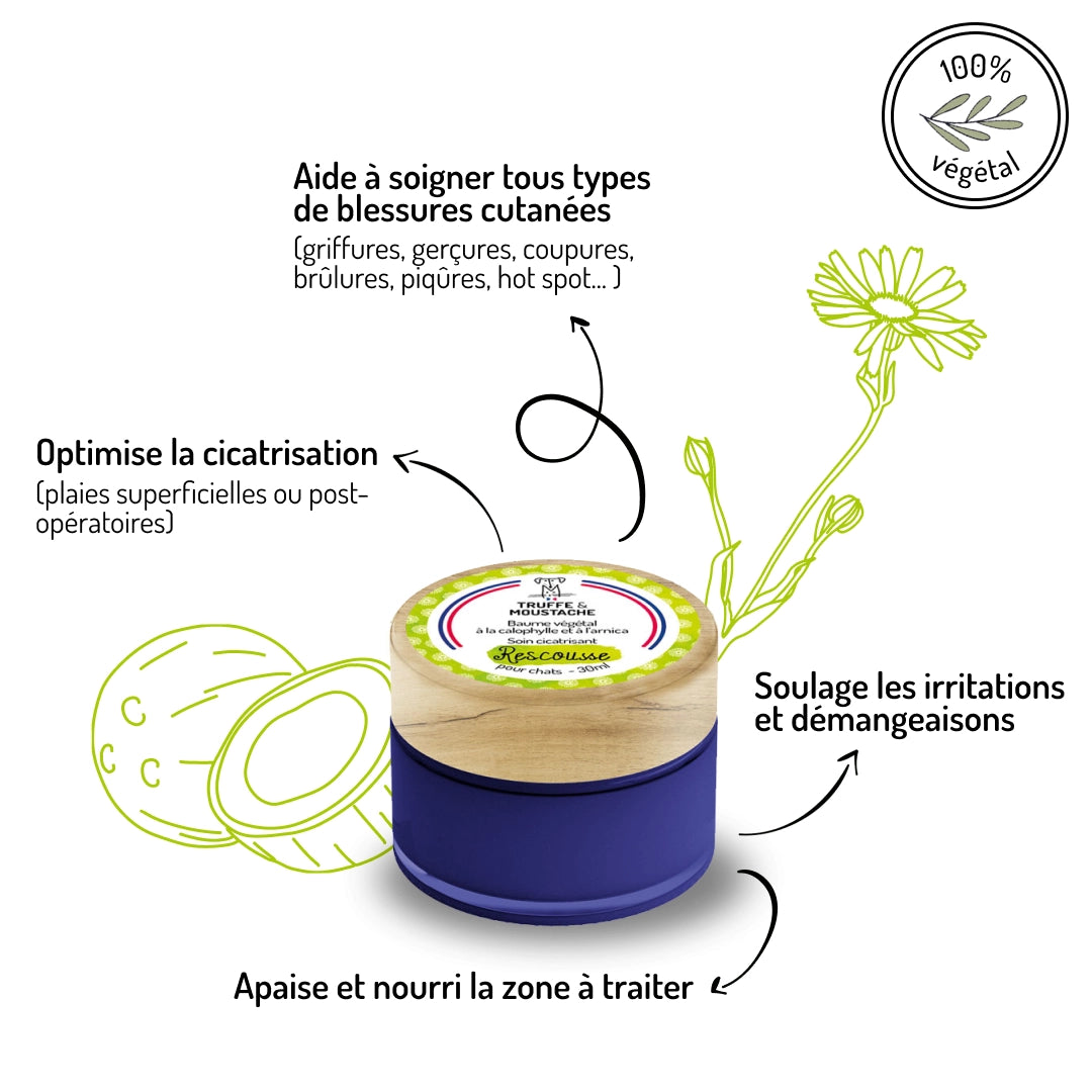Application baume cicatrisant naturel sur zone irritée chat — soin griffures hot spots Zenherb