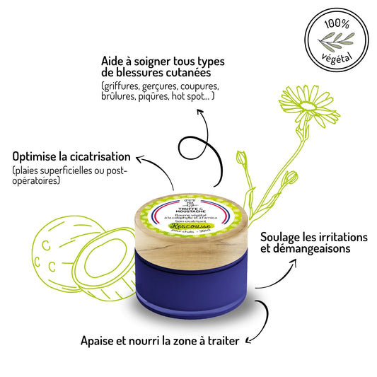 Application baume cicatrisant naturel sur zone irritée chat — soin griffures hot spots Zenherb