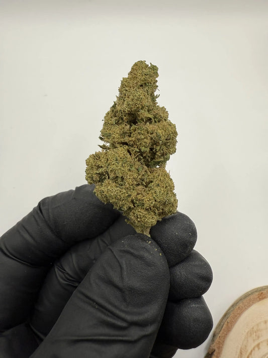 Fleurs CBD White Widow 14% 🌲 – Détente profonde