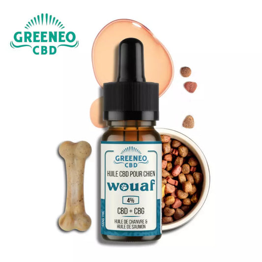 Huile CBD + CBG pour Chien GREENEO BIO